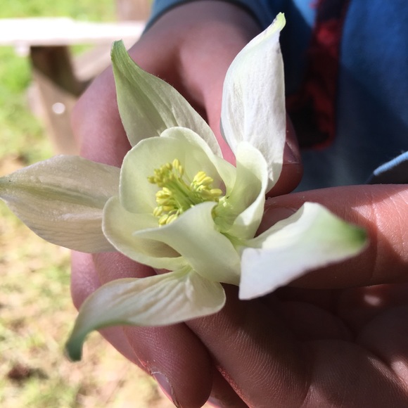 Meet your Posher, Gina - Picture 1 of 1